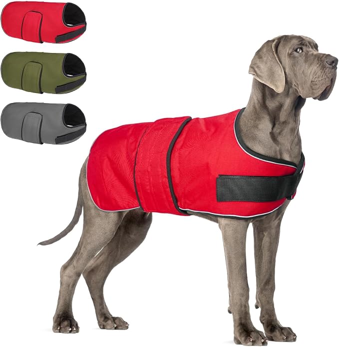 BEAUTYZOO Dog Winter Coat for X-Large Dogs Waterproof, Warm Reflective Great Dane Oxford Canvas Jacket, Fleece Dog Cold Weather Coats Windproof for Female Male Dogs, Red XL