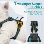 rabbitgoo Dog Harness No Pull with 2 Leash Clips, Adjustable Soft Padded, Reflective Oxford No Choke Pet Vest with Easy Control Handle for Puppy, Teal, XS | No Choke with Handle, Adjustable Soft Padded, Reflective, Easy Control for Walking, Teal, X-Small