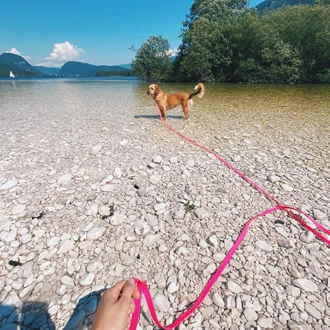 Waterproof Long Dog Leash Recall Training Lead 5 10 16 30 50 Foot for Large Medium Small Dogs Outdoor Training Walking Playing and Camping