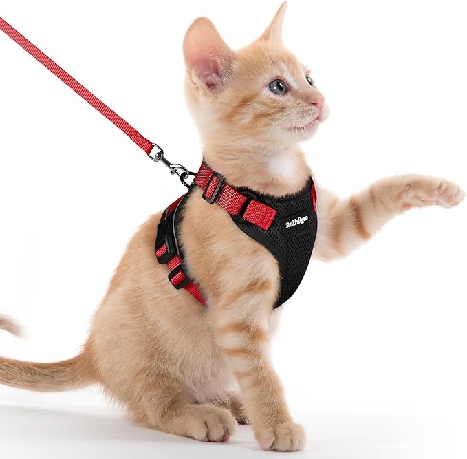rabbitgoo Cat Harness and Leash Set, Escape Proof Vest, Black & Red | Soft Breathable Mesh, Easy Adjustable Fit, Snap Buckles, Sturdy Clip, Reflective Strips, for Kittens & Small Cats Walks, Xxs