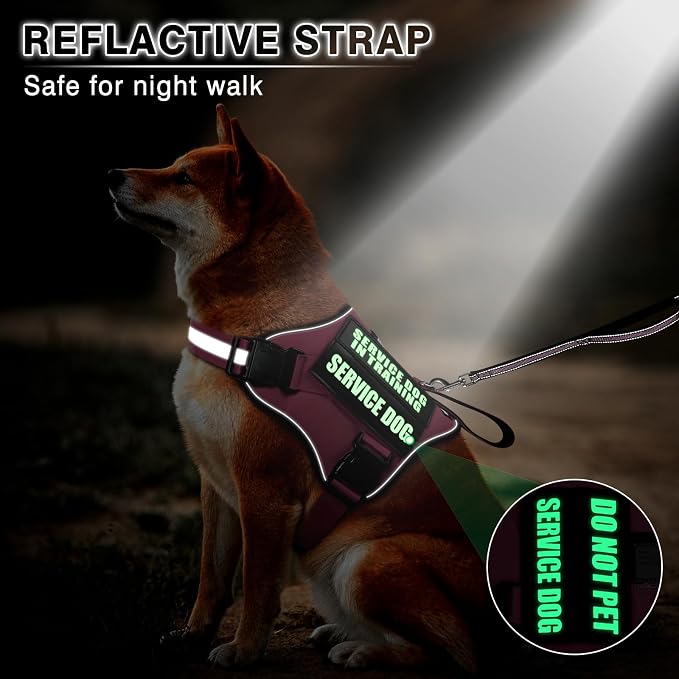 Service Dog Vest Harness and Leash Set+10 Patches,No Pull&Easy Walk Reflective Dog Harness with Soft Padded Handle for Training/Everyday,Fit Small/Medium/Large/Extra-Large Dogs (Pink XL) | No Pull&Adjustable Reflective Dog Harness Large Sized,Dog Leash...