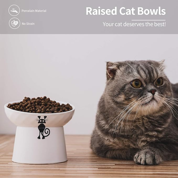 Ceramic Tilted Raised Cat Bowls, Elevated Cat Food and Water Bowl Set | Prevent Neck, Anti Vomit, Dish for Cats and Small Dogs, Dishwasher and Microwave Safe - White, Set of 2