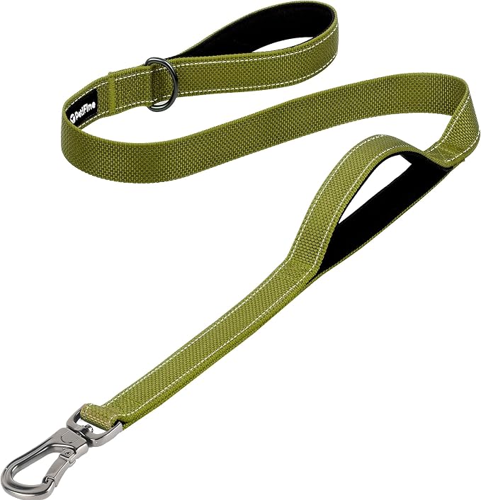 PetiFine 4FT Heavy Duty Dog Leash with Soft Padded Double Handle | Traffic Handle Extra Control,Auto Lock Hook,Reflective Nylon Walking Lead for Large,Medium,Small Breed Dogs