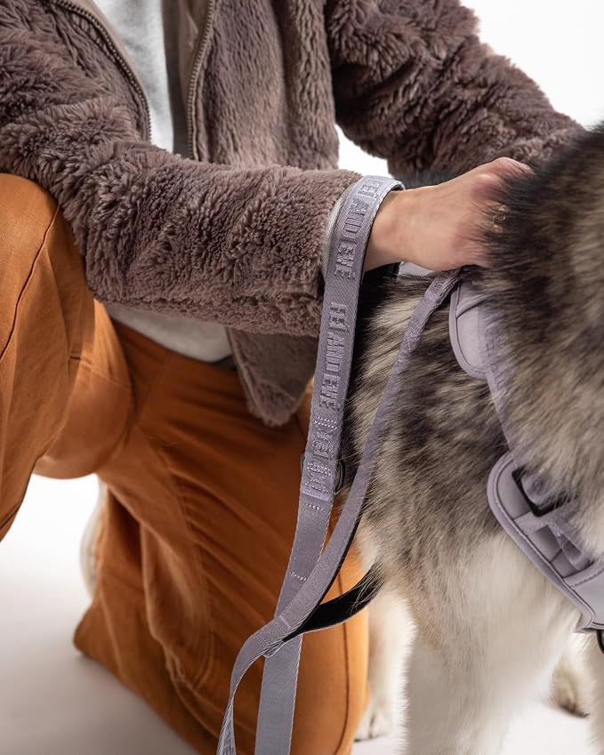 Fei & Eve Classic Dog Leash | Soft-Touch 210D Nylon, Dual Padded Handles, Traffic Handle, Tangle-Free, Heavy Duty, Twilight Gray, 4FT