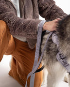 Fei & Eve Classic Dog Leash | Soft-Touch 210D Nylon, Dual Padded Handles, Traffic Handle, Tangle-Free, Heavy Duty, Twilight Gray, 4FT