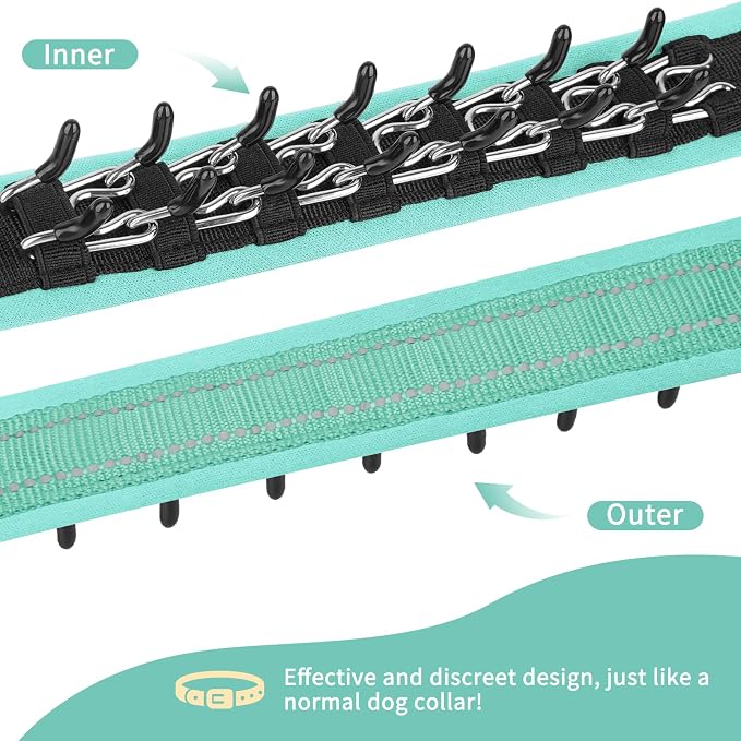 Mayerzon Martingale No Pull Collar for Medium Large Dogs | Teal, M | Patented Anti Pull Dog Collar with Buckle for Walking Training, Reflective Stitching, Neoprene Padding, Adjustable, Sturdy