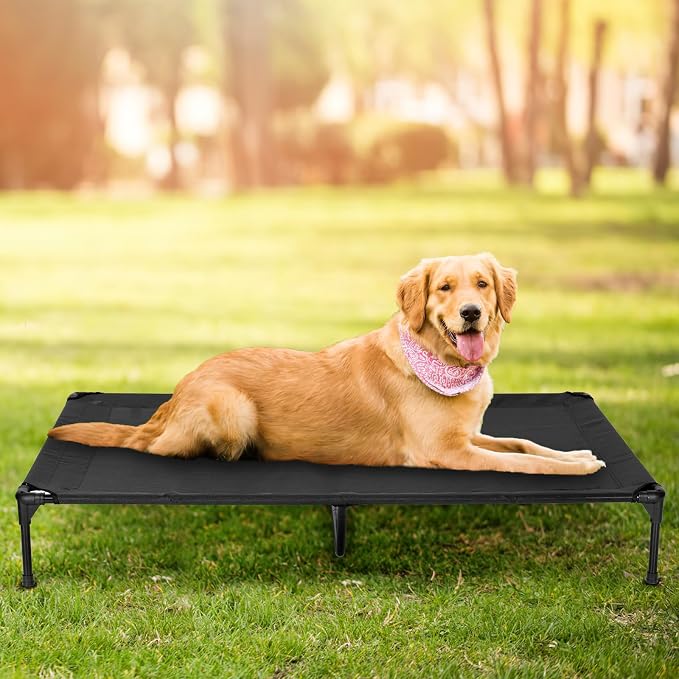 Elevated Dog Bed for Outdoor, XL Raised Dog Cot with Washable Mesh, Cooling Pet Cot Chew Proof for Outside Camping, 49"x33" Grey
