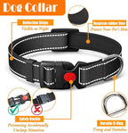 LOBEVE No Pull Dog Harness, Collar & Leash Set | Includes Dog Seat Belt, Collapsible Bowls & Poop Bag Dispenser. Ideal for Training, Walking, Hiking. Fits Small to Large Dogs(Black-XL)