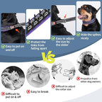 Mayerzon Martingale No Pull Collar for Medium Large Dogs | Purple Trim, L | Patented Anti Pull Dog Collar with Buckle for Walking Training, Neoprene Padding, Reflective Stitching, Adjustable, Sturdy