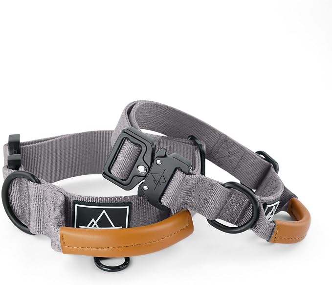 MADE TO ROAM Control Dog Collar | Leather Handle & Heavy Duty Metal Buckle | Premium adjustable collar with vegan leather handle. Fits medium to large dogs. 15 colors. Matching leash & harness