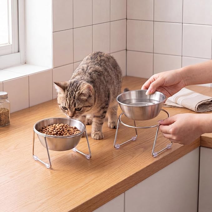 4 Pcs Elevated Cat Bowls 4.53'' Height Raised Stainless Steel Cat Food Bowls Anti-Slip 15° Tilted Stand Shallow Food and Water Dishes for Kitty and Small Puppy (Single Bowl)