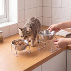 4 Pcs Elevated Cat Bowls 4.53'' Height Raised Stainless Steel Cat Food Bowls Anti-Slip 15° Tilted Stand Shallow Food and Water Dishes for Kitty and Small Puppy (Single Bowl)
