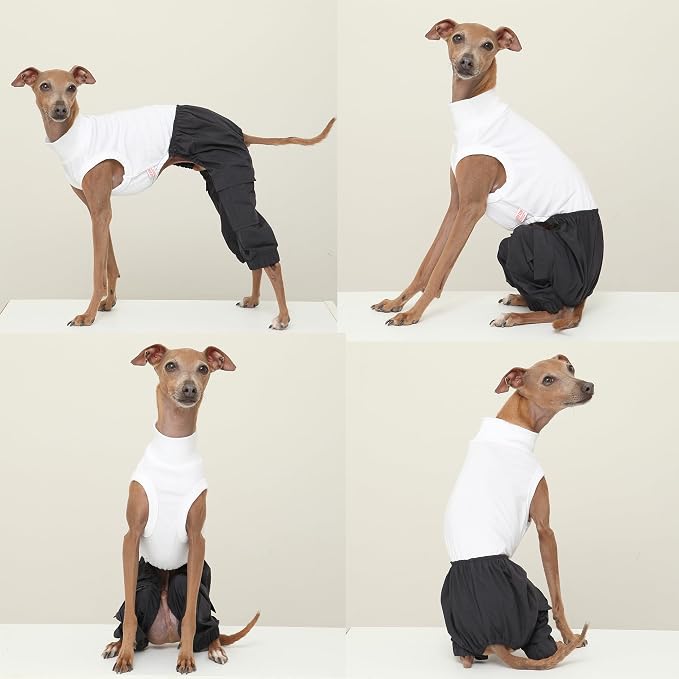 D Doggy Star Italian Greyhound Clothes Cargo Pants Onesie Outfit Whippet for Dog Coat (S,Navy Cargo)