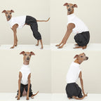 D Doggy Star Italian Greyhound Clothes Cargo Pants Onesie Outfit Whippet for Dog Coat (2XL,Navy Cargo)