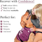 BellyGuard Dog Surgery Recovery Suit, Post-Op Dog Recovery Suit for Female Spay & Male Neuter, Comfy Onesie for Pets, Surgical Body Cover for Canine Healing Support