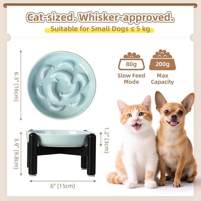 Elevated Ceramic Slow Feeder Cat Bowl, 6.3'' Wide Whisker Friendly | Slow Eating 5x, Anti Vomit Shallow Slow Eating Cat Dish, 3.9" H Raised Cat Puzzle Feeder for Dry and Wet Food, 6.3" X 1.2"