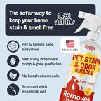 Sunny & Honey Pet Stain and Odor Remover Spray for Carpets, 32floz Spice | USA Made - Enzyme Cleaner for Dog Urine & Poop - Eliminates Set In Stains - Color Safe - For Rugs, Furniture & Car Seats
