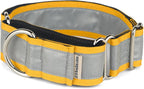 If It Barks - 1.5" Reflective Martingale Collar for Dogs - Adjustable - Made in USA - Strong, Durable, and Comfy - Ideal for Training - Suitable for Most Breeds - Medium, Yellow Gold