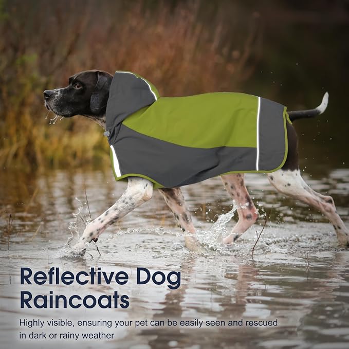 IECOii Large Dog Raincoat Waterproof,Hooded Rain Jacket Keep Dog Dry in Wet Weather,Reflective Rain Poncho Clothes with Convenient Leash Hole/Adjustable Magic Sticker/Easy On and Off/,Green,Large