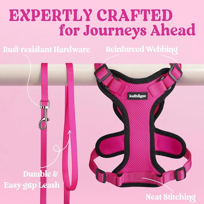 rabbitgoo Cat Harness and Leash Set, Escape Proof Vest, Rose Red | Soft Breathable Mesh, Easy Adjustable Fit, Snap Buckles, Sturdy Clip, Reflective Strips, for Small & Average Cats Walks, Xs