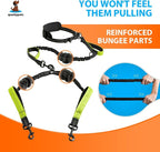 SparklyPets Hands Free Double Dog Leash – Dual Leash for Medium and Large Breeds – Lead for 2 Dogs with Padded Handles, Reflective Stitches, No Pull, Tangle Free