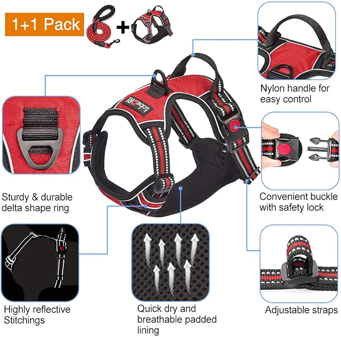 tobeDRI No Pull Dog Harness Adjustable Reflective Oxford Easy Control Medium Large Dog Harness with A Free Heavy Duty 5ft Dog Leash, Red, M