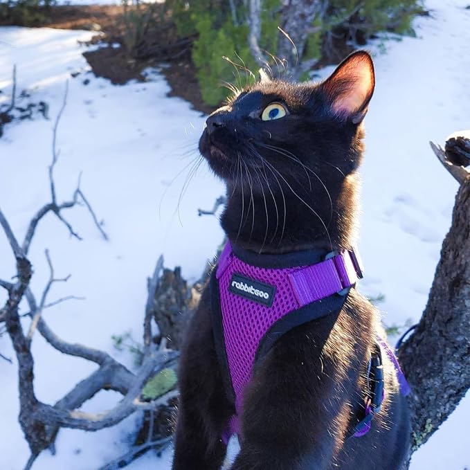 rabbitgoo Cat Harness and Leash Set, Escape Proof Vest, Purple | Soft Breathable Mesh, Easy Adjustable Fit, Snap Buckles, Sturdy Clip, Reflective Strips, for Average Cats Walks, S