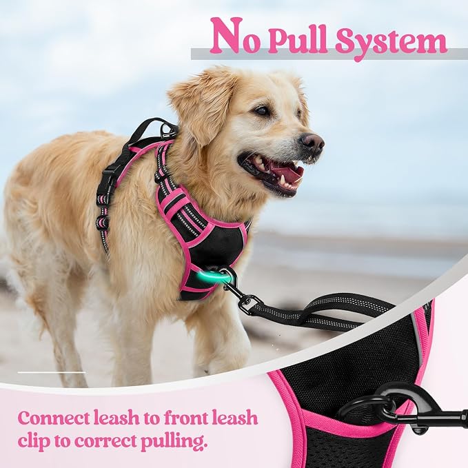 rabbitgoo Dog Harness, No Pull for Large Dogs with 2 Leash Clips, Pet Vest | No Choke with Handle, Adjustable Soft Padded, Reflective, Easy Control for Walking, Black & Hot Pink, Large