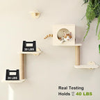 FUKUMARU Cat Wall Shelves, 5 in 1 Set, Beige | Stable Wooden Wall-Mounted Furniture Set, Kitty Climber with Hammock, House, Steps, Scratching Post
