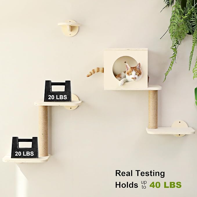 FUKUMARU Cat Wall Shelves, 5 in 1 Set, Beige | Stable Wooden Wall-Mounted Furniture Set, Kitty Climber with Hammock, House, Steps, Scratching Post