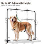 Pet Grooming Arm for Table, 42" H, 27-39" W with Hammock & 2 No-Sit Nooses | Adujustable, Heavy-Duty Dog Grooming Station with clamp for Home Use, Nail Trimming & Drying