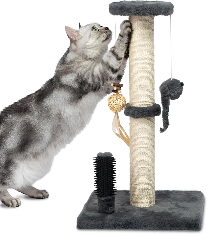 Best Pet Supplies Catify Cat Scratching Post - Gray H: 25" | 11" x 11" x 25", Interactive Cat Pole, Built-In Toys, Durable Sisal, Furniture Protector, For Indoor Kittens and Cats