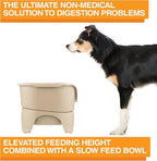 Neater Feeder - Express Model w/ Slow Feed Bowl - Mess-Proof Dog Bowls (M/L, Almond) Made in USA – Elevated, No Spill, Non-Tip, Non-Slip, Raised Stainless Steel Food/Water Pet Bowls Aid Digestion