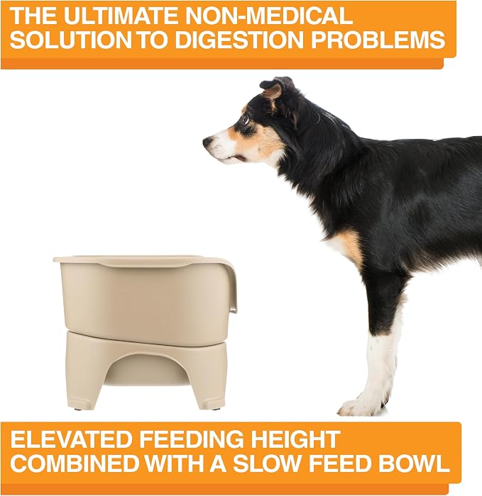 Neater Feeder - Express Model w/ Slow Feed Bowl - Mess-Proof Dog Bowls (M/L, Almond) Made in USA – Elevated, No Spill, Non-Tip, Non-Slip, Raised Stainless Steel Food/Water Pet Bowls Aid Digestion