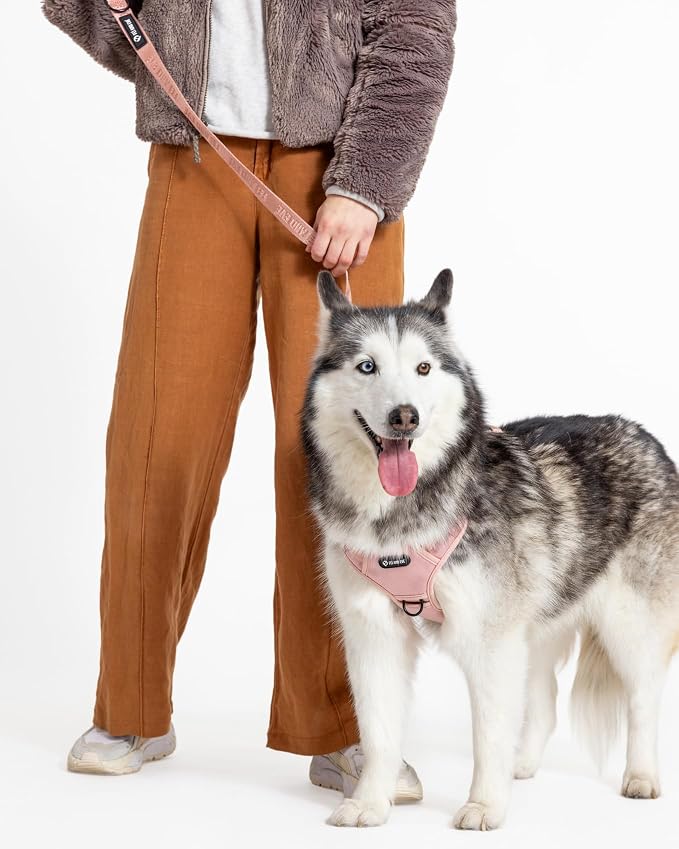 Fei & Eve Classic Dog Leash | Soft-Touch 210D Nylon, Dual Padded Handles, Traffic Handle, Tangle-Free, Heavy Duty, Blush, 6FT