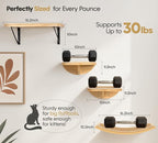 Cat Wall Shelves, Cat Window Perches with Curved Bed & 2 Sisal Mat Steps | Cat Window Perches with Beige Curved Bed & 2 Floating Steps for All Breeds, 3-in-1 Cat Wall Set for Climbing & Lounging