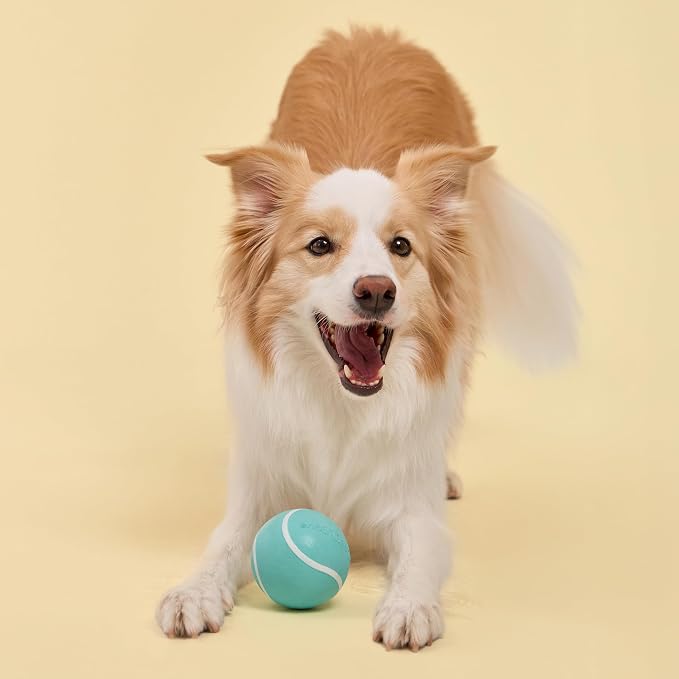 Playology Squeaky Chew Ball for Large Dogs - Jumbo, Peanut Butter Scent | Rubber Construction, 3.25 in Diameter, 6 oz, Floats In Water, Dishwasher Safe Top Rack, 50 lb+ Breeds