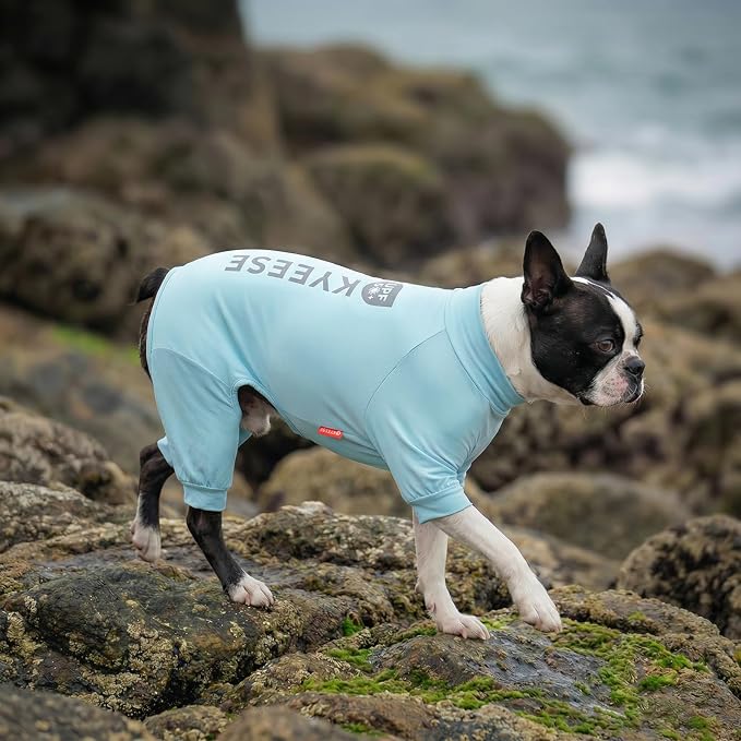KYEESE UV Protection Dog Shirt, UPF 50+ Cooling Summer Jumpsuit for Small Dogs, Breathable Reflective Shedding Control Dog Sun Shirts, Quick-Dry Dogs Onesie Pet Clothes, Blue, M