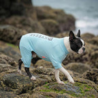 KYEESE UV Protection Dog Shirt, UPF 50+ Cooling Summer Jumpsuit for Small Dogs, Breathable Reflective Shedding Control Dog Sun Shirts, Quick-Dry Dogs Onesie Pet Clothes, Blue, L