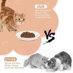 6 Pack Cat Food Bowl, Ceramic Cat Bowls, Anti Whisker Fatigue Cats Bowl Set | 5.5 Inches Shallow Wide Kitten Plates for Food and Water (White-E)