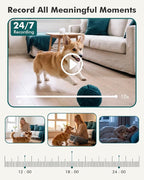 Dzees 2K Indoor Security Camera, 360° WiFi Pet Camera with Phone App | 5GHz and 2.4GHz WiFi, wired design, 2-way audio, motion tracking, night vision