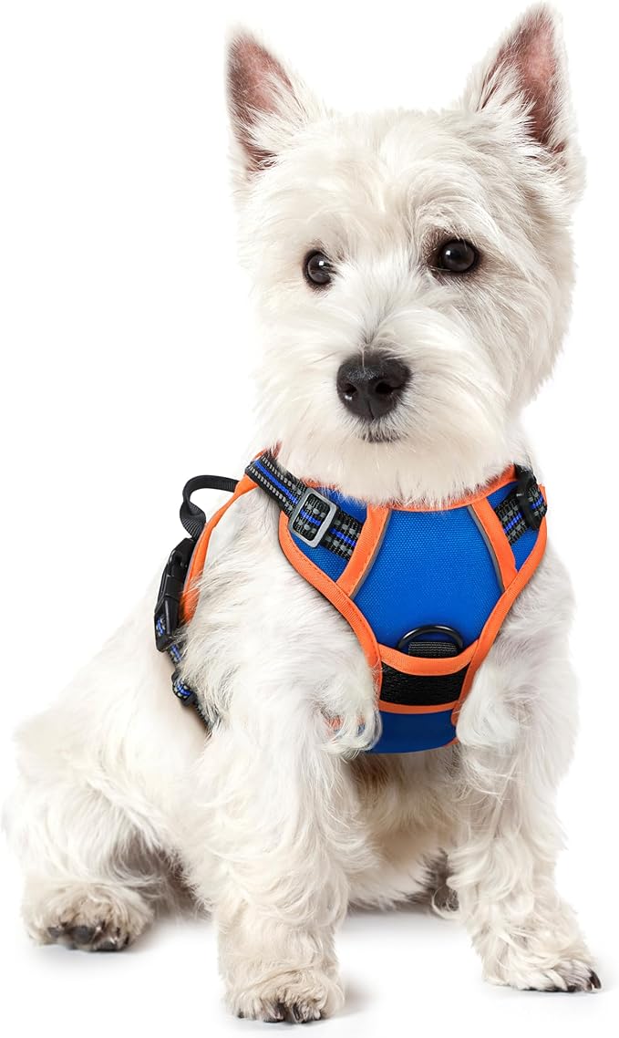 rabbitgoo Dog Harness, No Pull for Small Dogs with 2 Leash Clips, Pet Vest | No Choke with Handle, Adjustable Soft Padded, Reflective, Easy Control for Walking, Blue & Orange, X-Small
