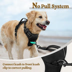 rabbitgoo Dog Harness, No Pull for Large Dogs with 2 Leash Clips, Pet Vest | No Choke with Handle, Adjustable Soft Padded, Reflective, Easy Control for Walking, Black, Large