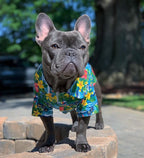 Parisian Pet Floral Dog Shirt - Cotton Clothes for Large Dogs - Stylish Dog Beach Outfit - Lightweight and Soft Puppy Clothes - Trendy Tshirts for Dogs - Comfortable Summer Vacation Pet Apparel