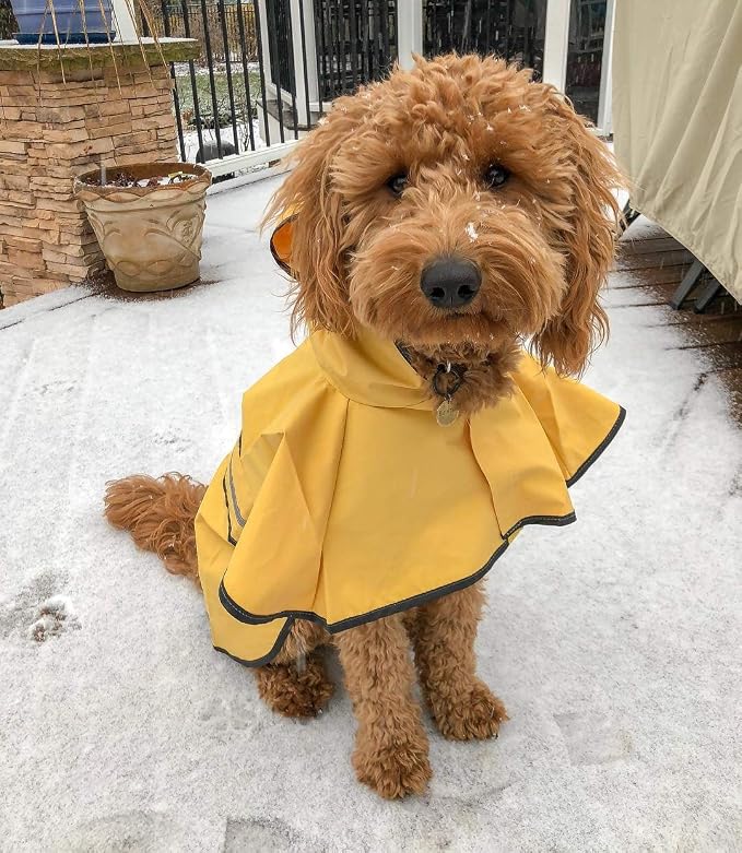 SPOT Rainy Days Slicker - Yellow Dog Rain Jacket With Hood, Reflective Strip for Safety, Leash Hole & Adjustable Velcro Belly Strap, 100% Polyester Water Resistant Pet Raincoat - X-Small, 8in Long