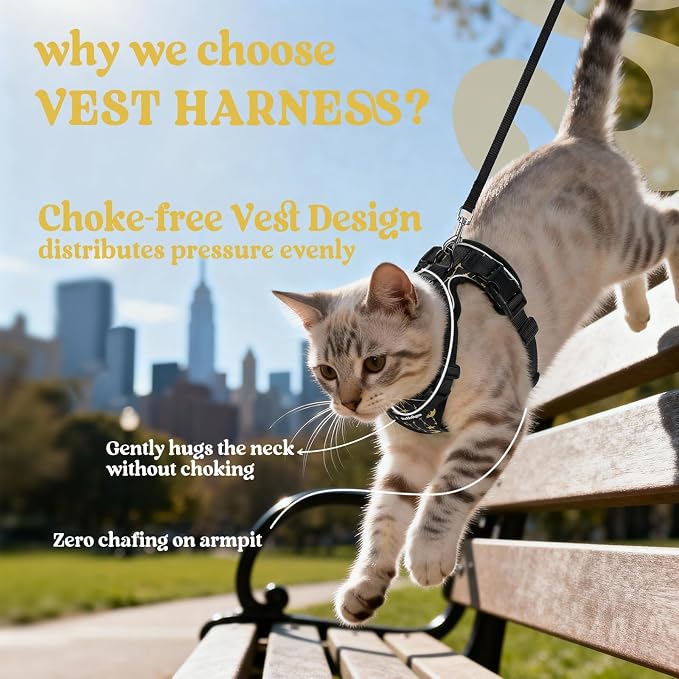 rabbitgoo Cat Harness and Leash Set, Escape Proof Vest, Lunar Prowl | Soft Breathable Mesh, Easy Adjustable Fit, Snap Buckles, Sturdy Clip, Reflective Strips, for Small & Average Cats Walks, Xs