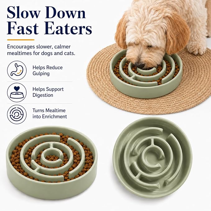 Ceramic Slow Feeder Dog Bowl 1.5 Cup Puzzle Dish for Small Medium Dogs | Glazed ceramic maze bowl with 1.5-cup capacity for dry or wet food, sized for small and medium dogs