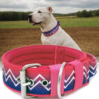 Dog Collar for Large Dogs,2 in Wide Heavy Duty,Pressure-Relief Padded, B-M | Professional Protection for Large and Giant Breeds,Handle for Control,Stainless Steel Buckle Ultra Safety,20-23 in