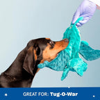 BARKBOX Best of BarkBox Interactive Plush Dog Toy Bundle