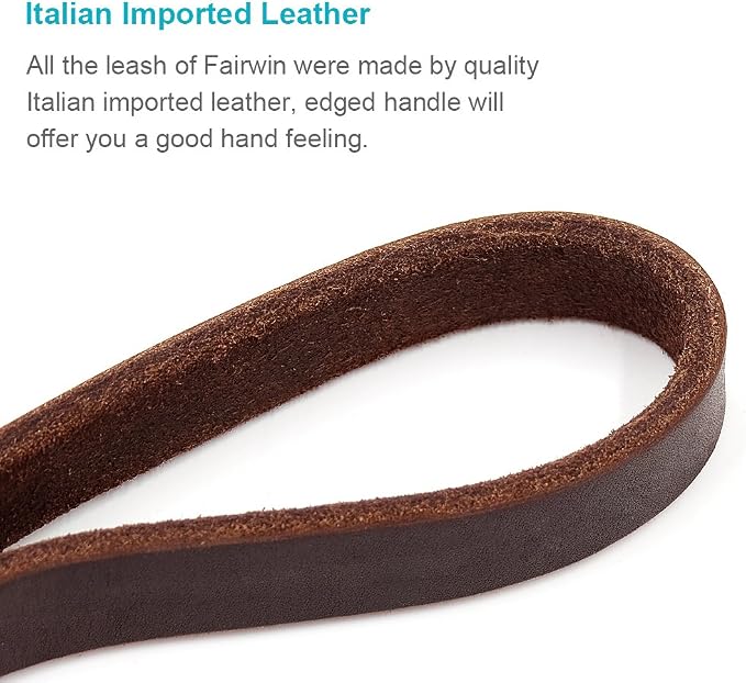 FAIRWIN Leather Dog Leash 6 Foot - Dog Training Leash Heavy Duty Dog Lead for Large Medium Small Dogs (M - 6 ft x 5/8 inch, Reddish Brown)